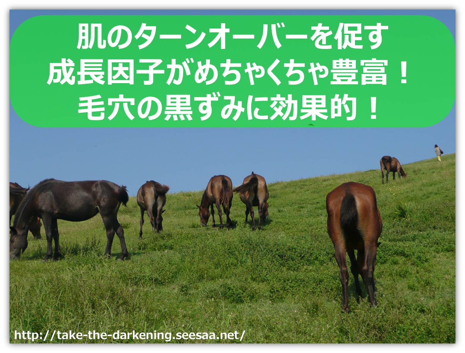 馬プラセンタ.jpg